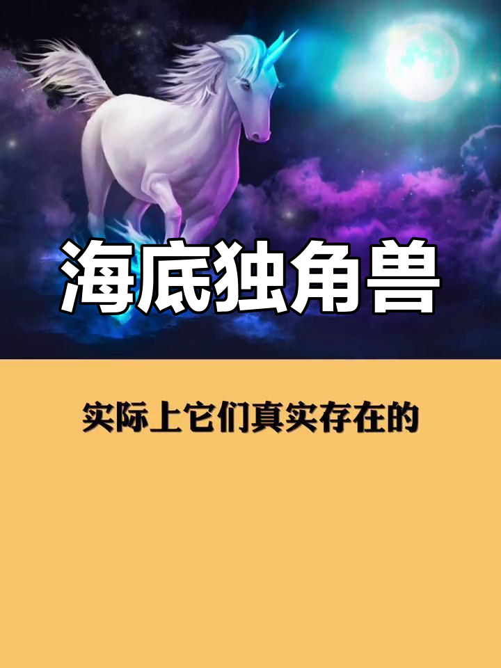 独角鲸:海洋中的"独角兽"