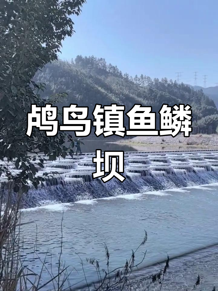 鸬鸟镇鱼鳞坝:探秘自然景观与人文风情