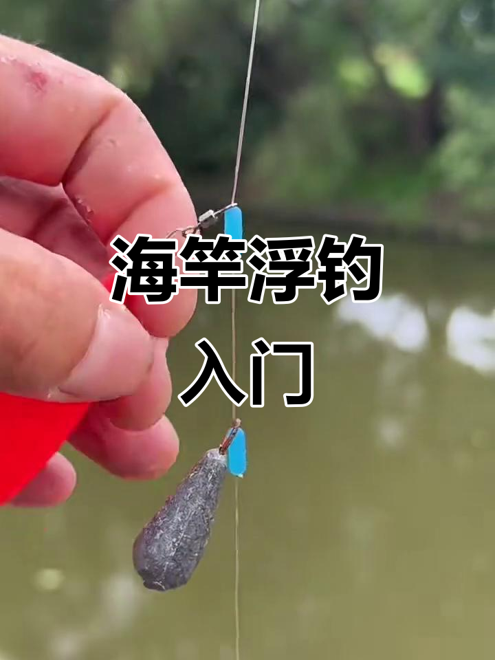 海竿浮钓鲢鳙技巧,新手轻松掌握