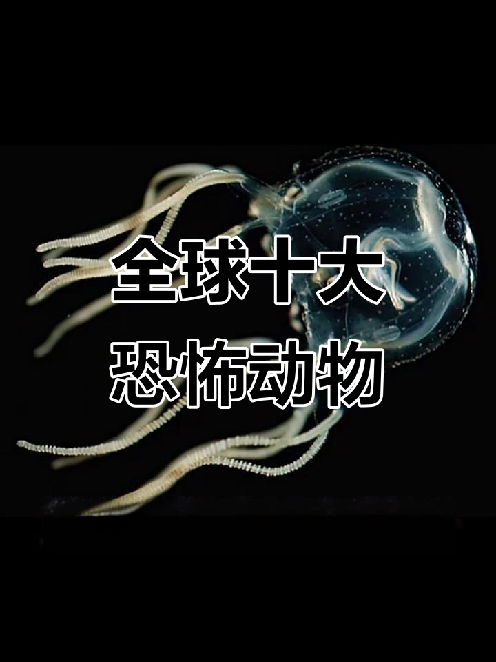 世界最可怕的动物