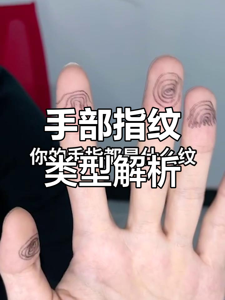 手指上的纹路揭秘:斗纹与薄极纹