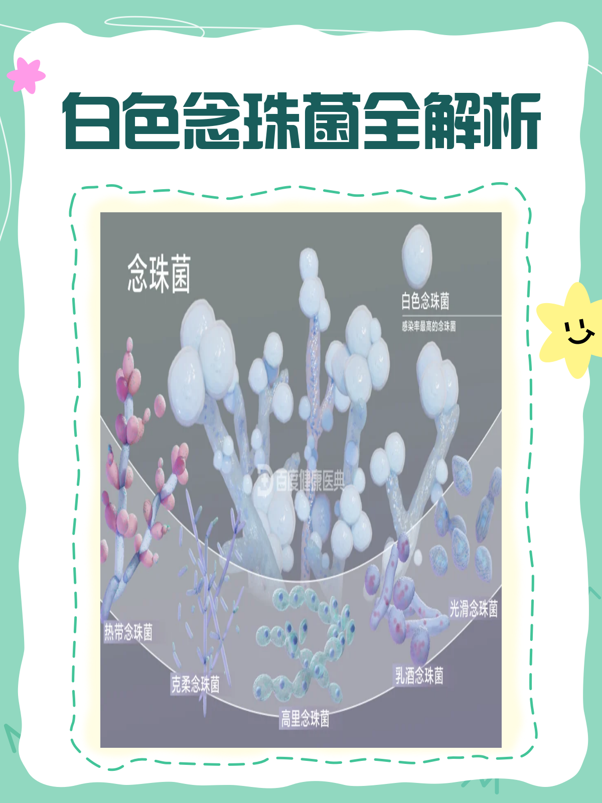 白色念珠菌:了解它,才能战胜它!