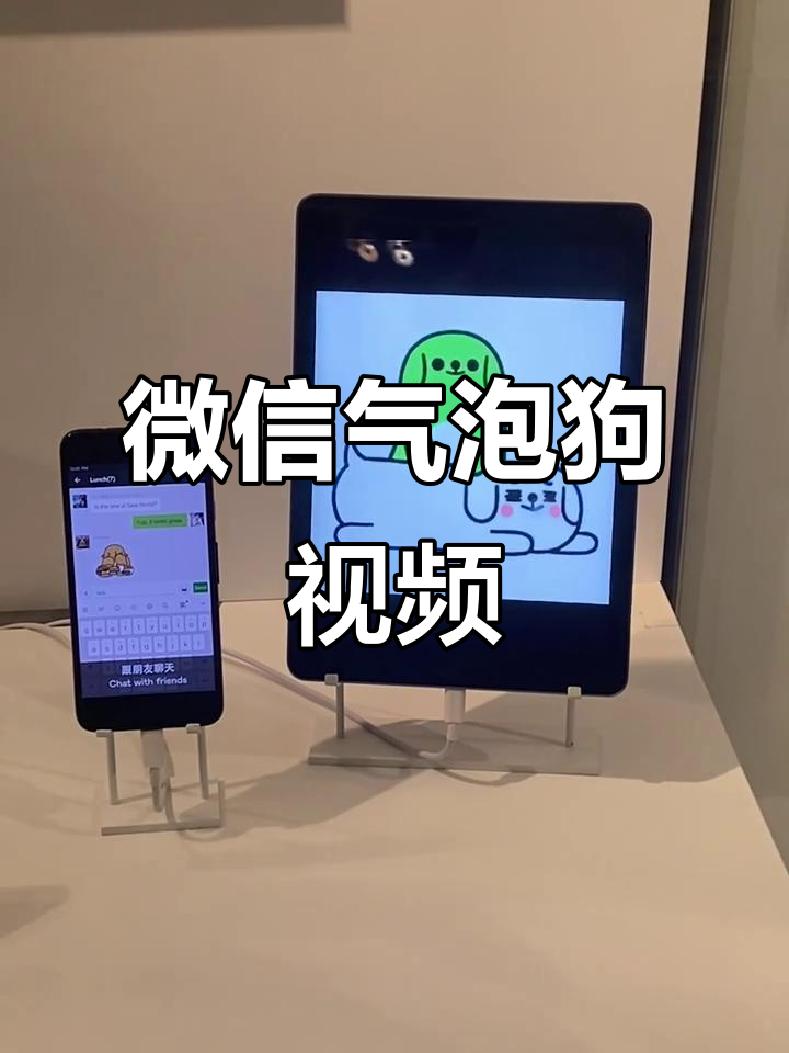 v&a微信气泡狗珍贵录像,首次公开揭秘
