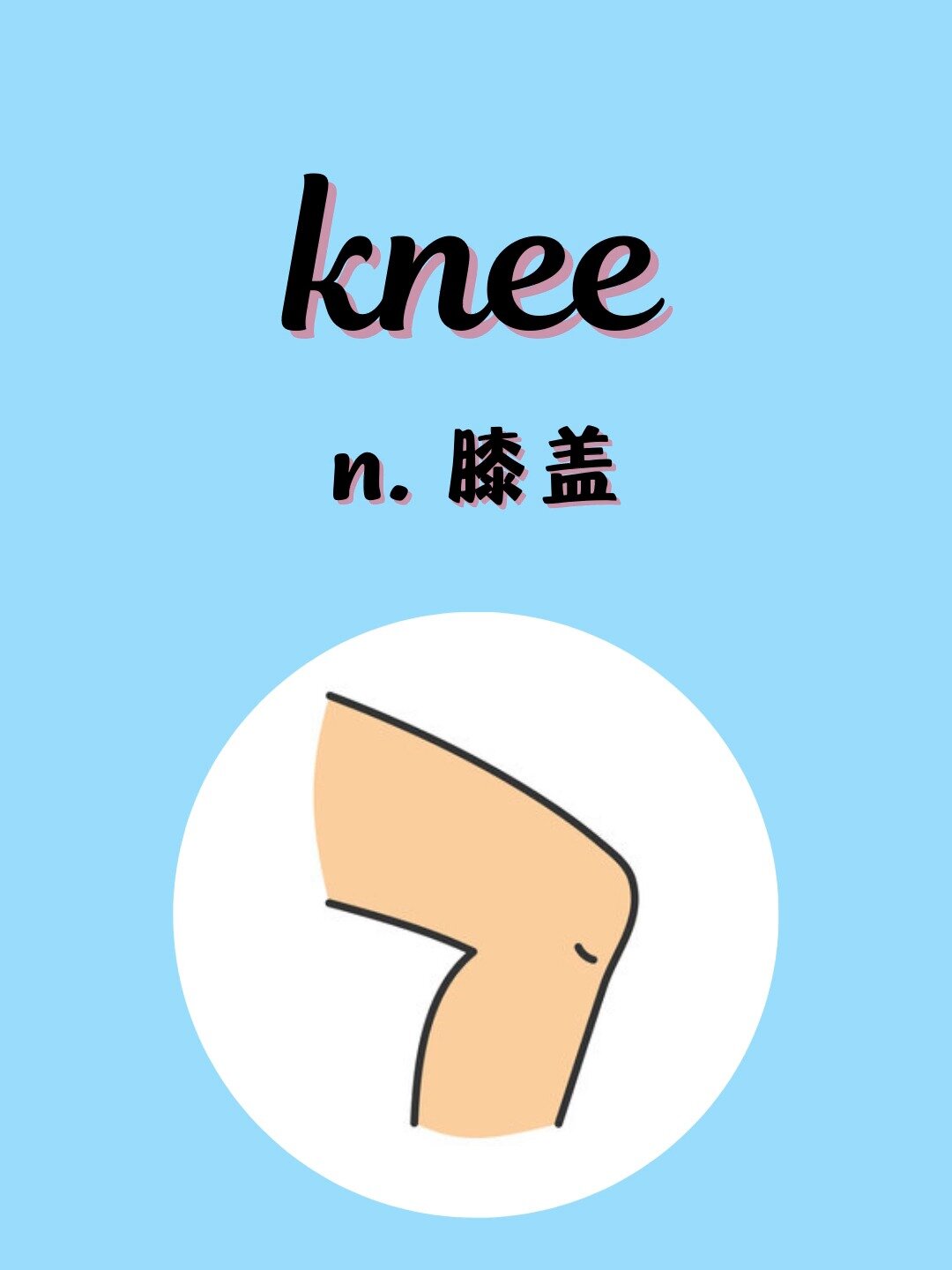入门必背英语单词1145:knee