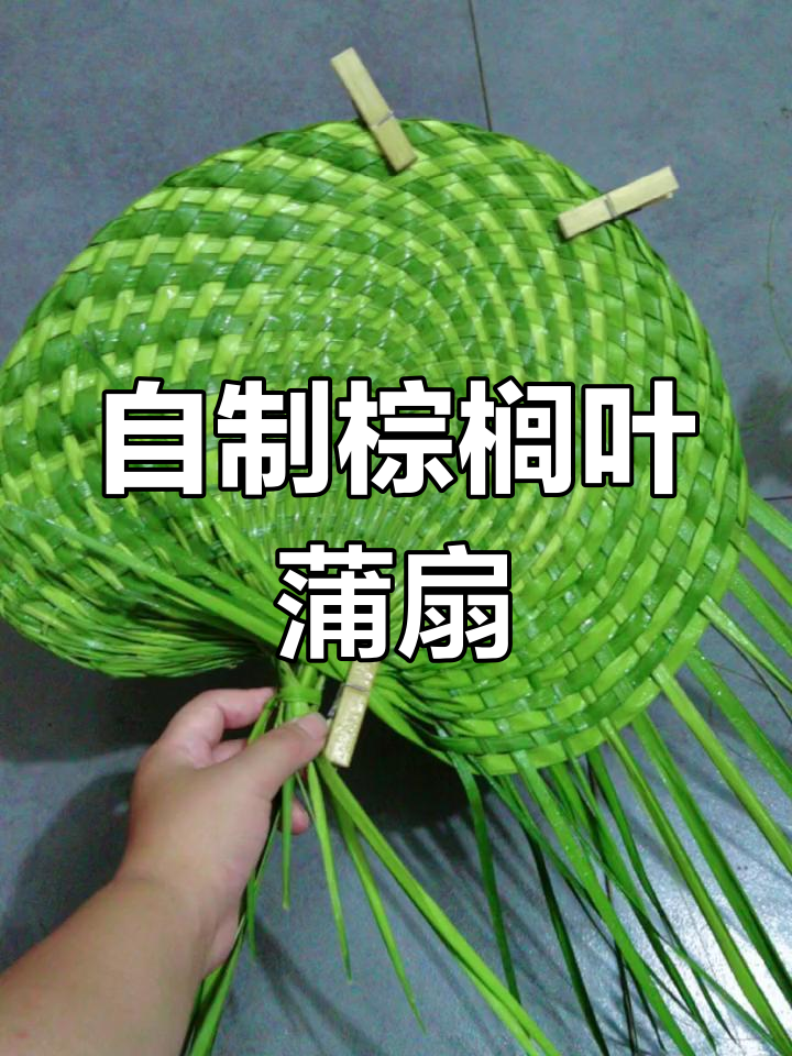 夏日手工:用棕榈叶编织蒲扇,变废为宝