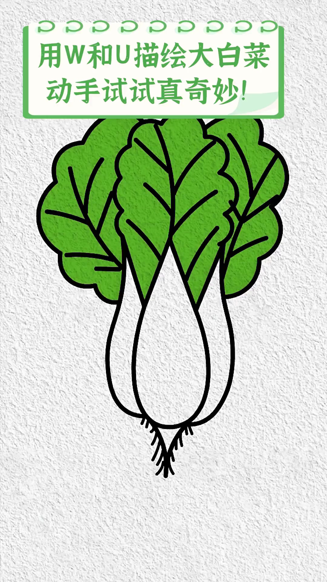 用w和u描绘大白菜,动手试试真奇妙!