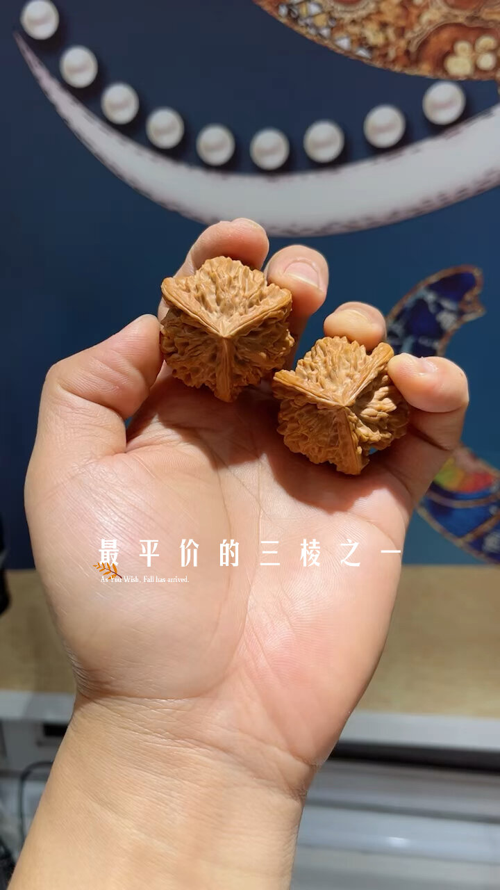 盘山三棱应该是核桃三棱最实惠的吧