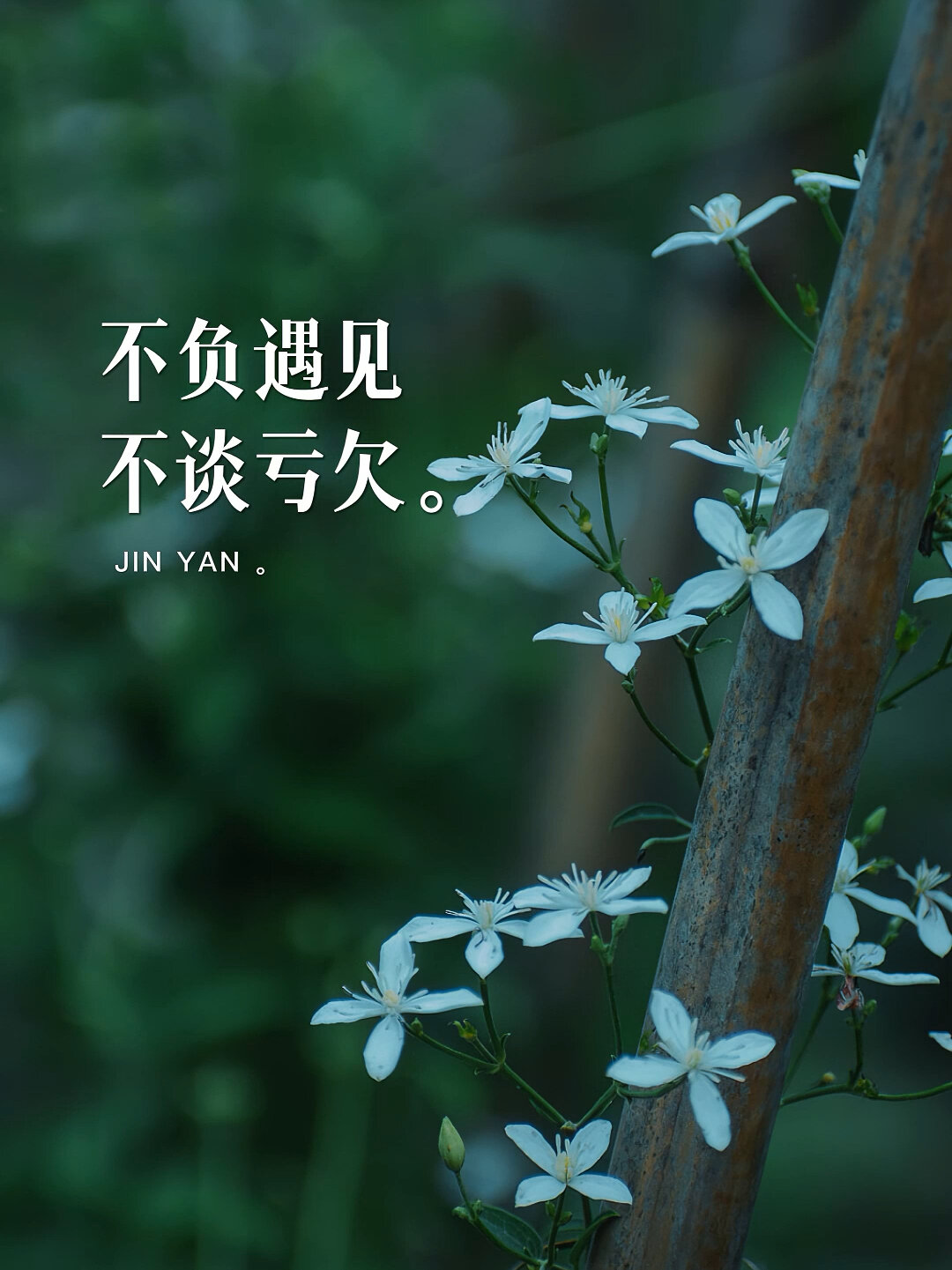 不负遇见,不谈亏欠