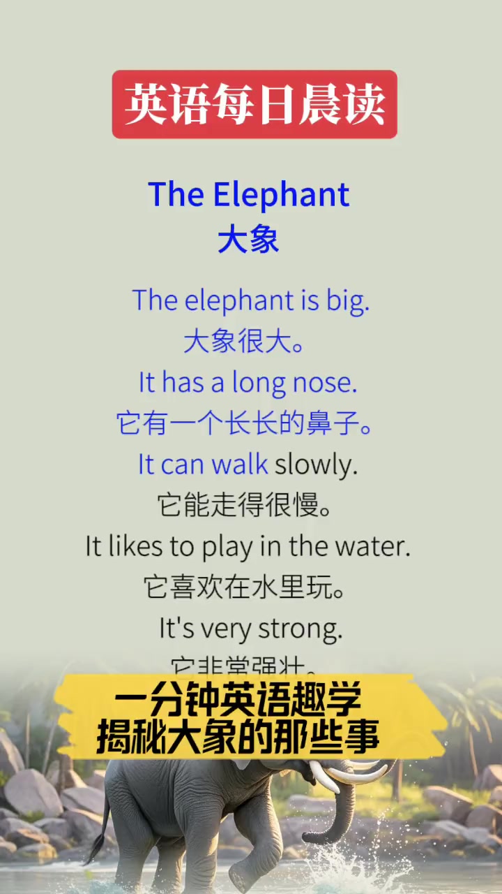 一分钟英语趣学,揭秘大象的那些事