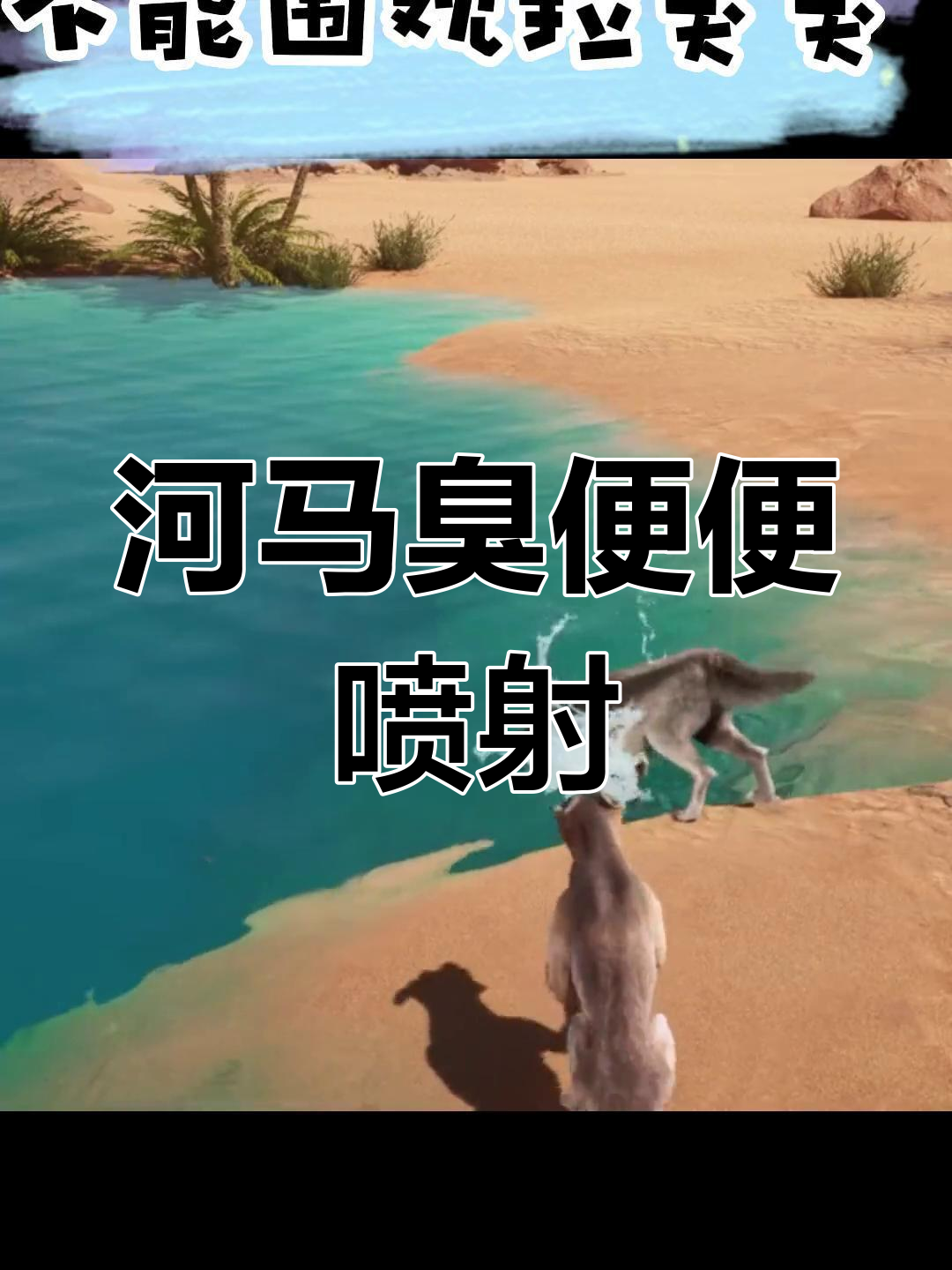 河马大便喷小狼,危险逼近