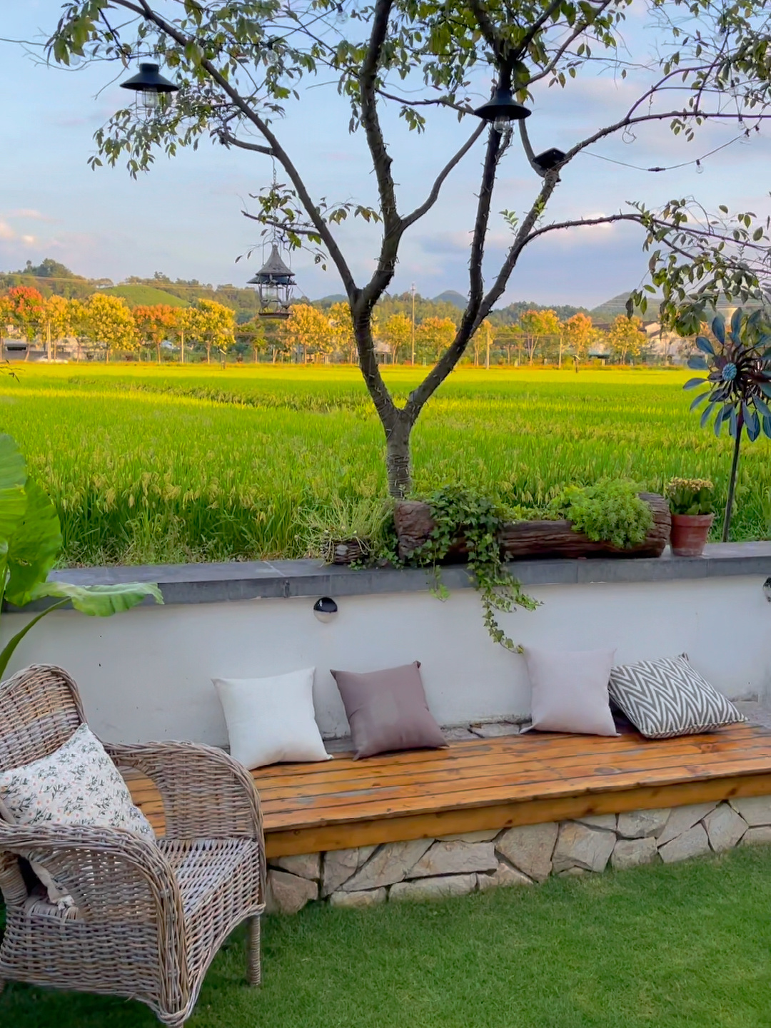 农村小院改造民宿,自己设计,只花了不到3万