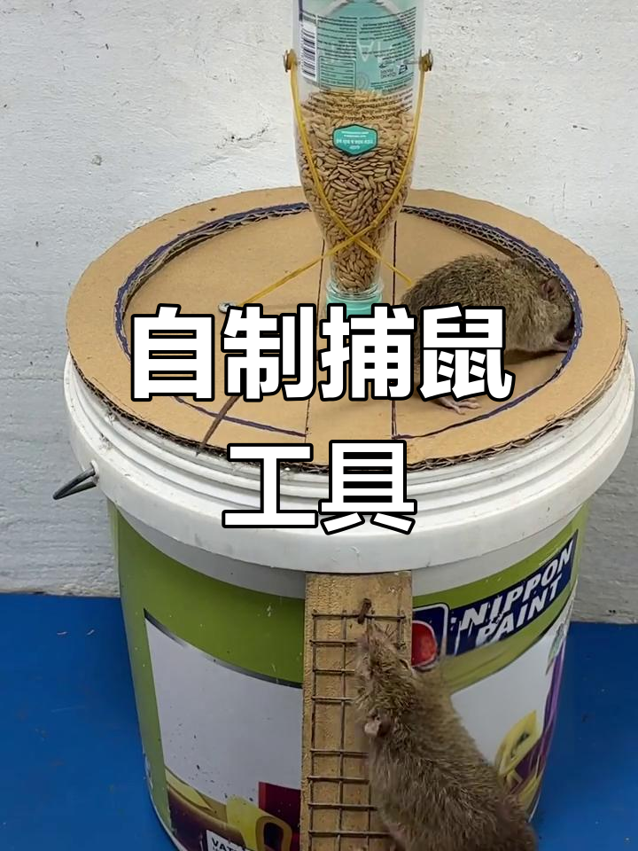 捕鼠神器制作大全图片