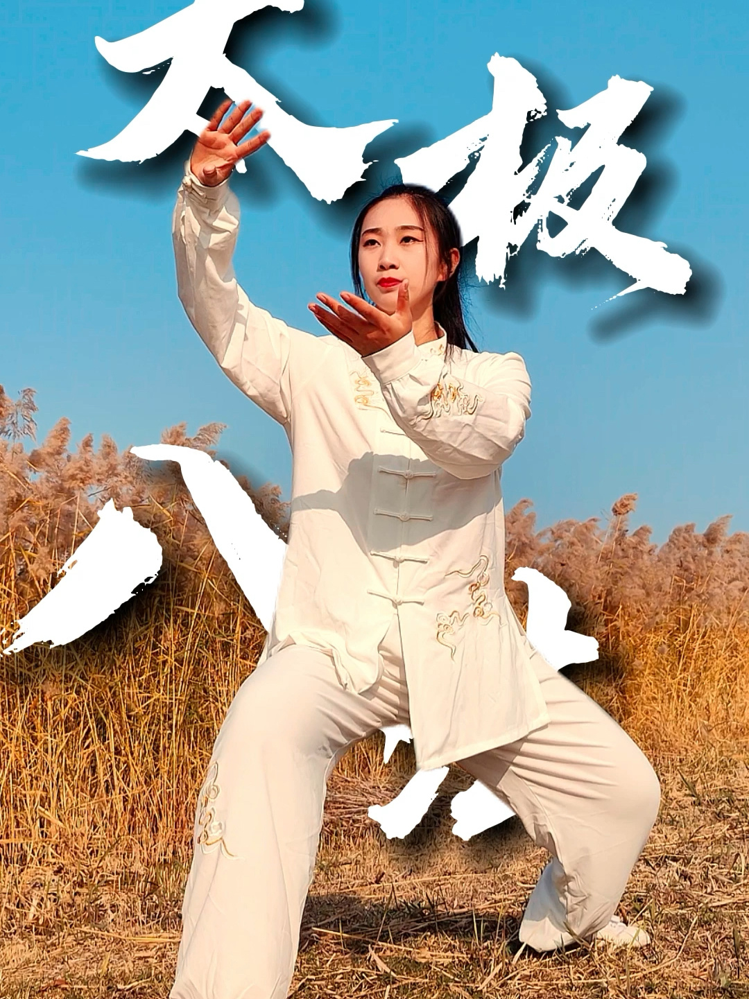 太极八法