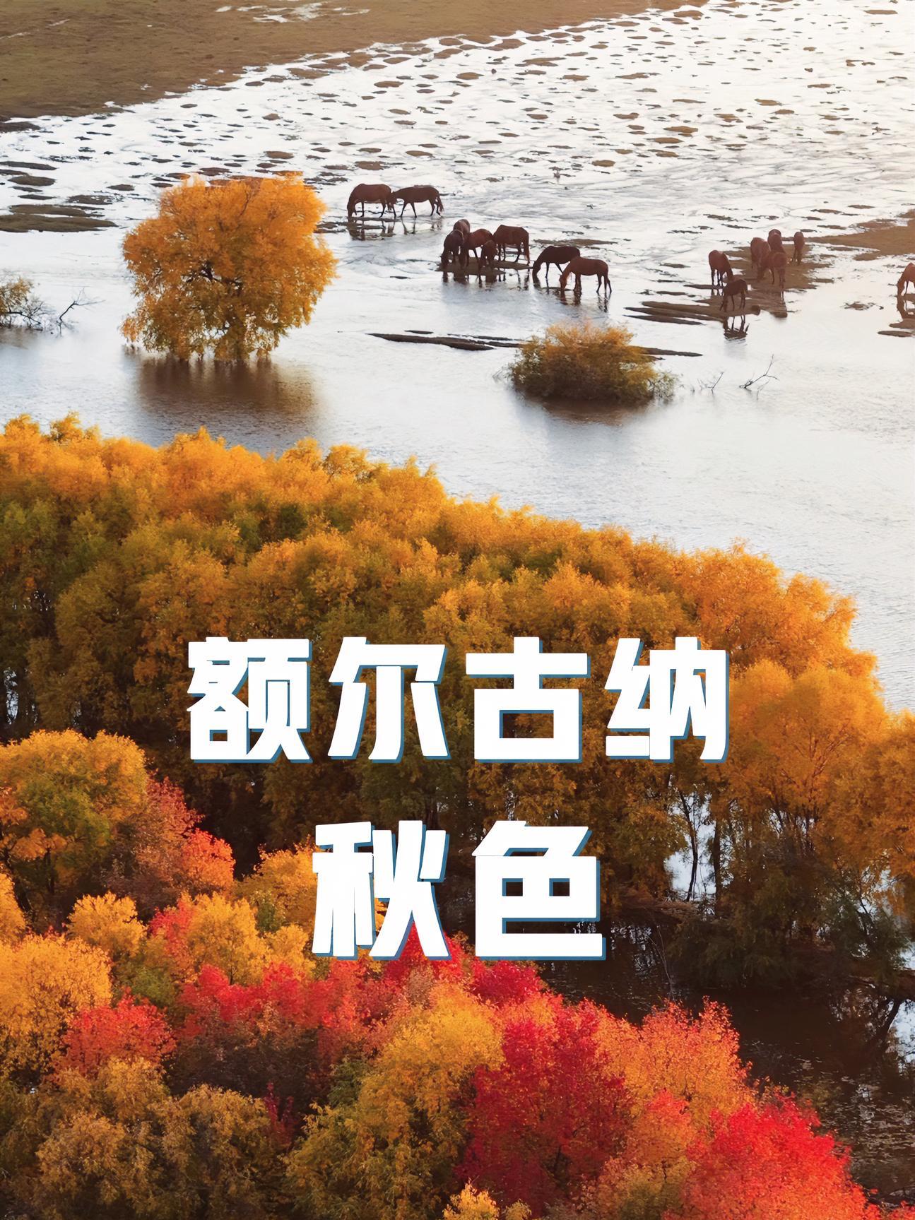 额尔古纳河右岸清晨