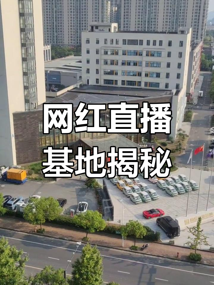 国岳集团是干嘛的图片