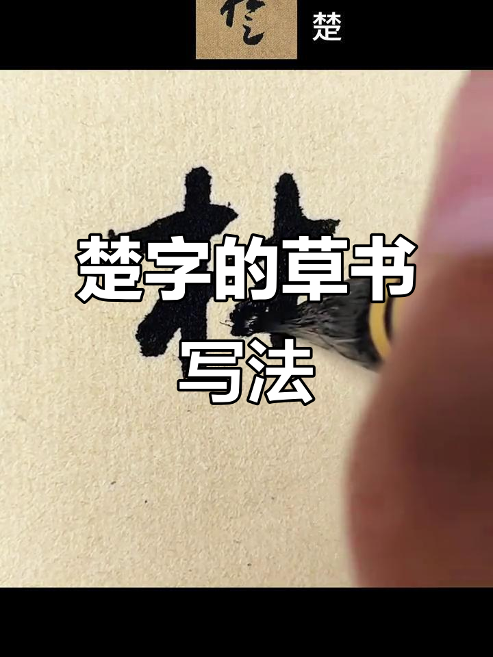 草书"楚"字:笔尖上的艺术与美感