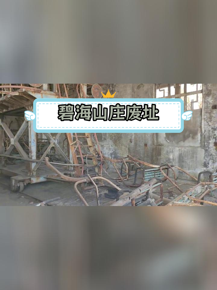 大连碧海山庄大火事件图片