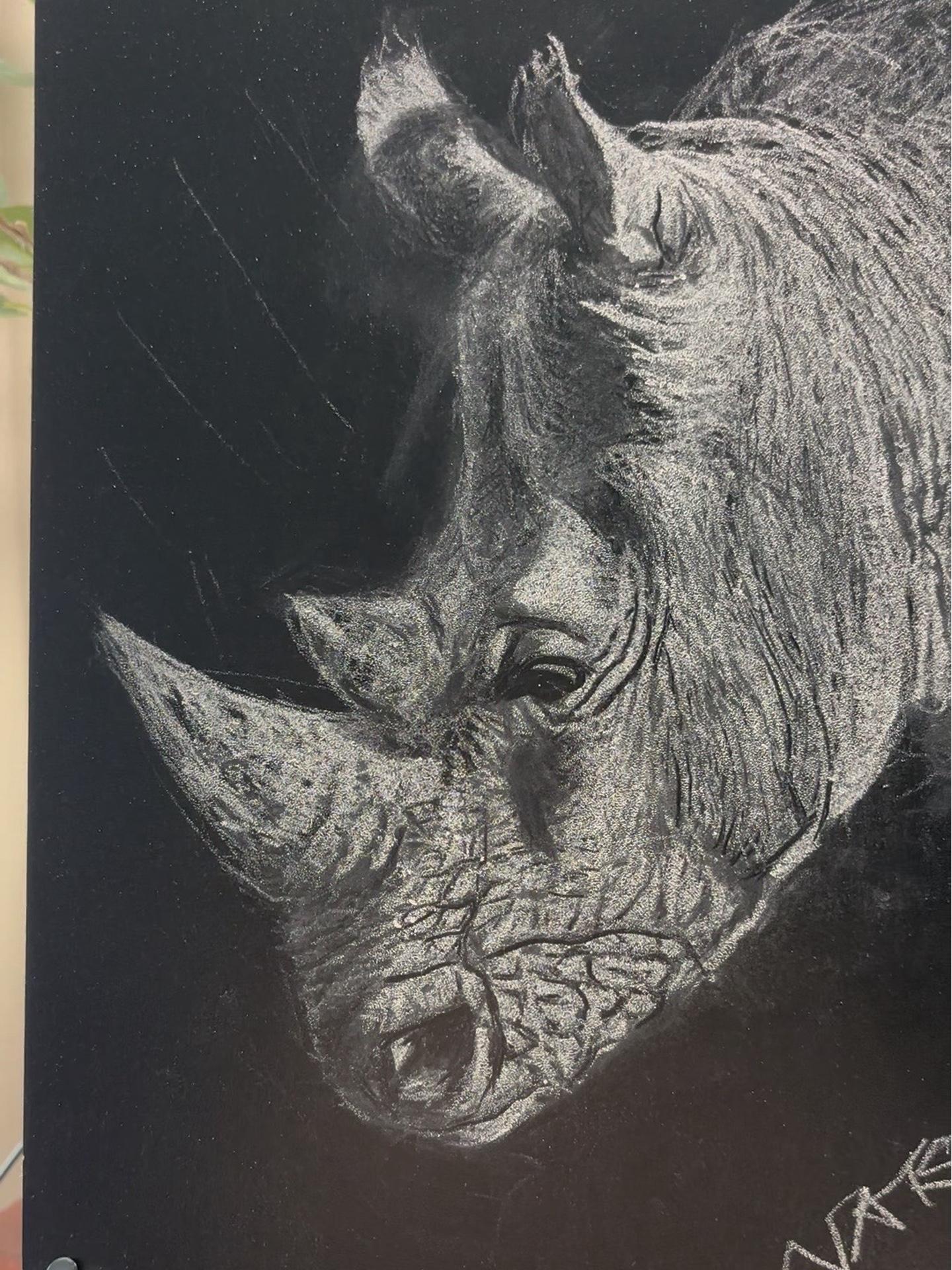 如何用粉笔画出一只动物!粉笔画 灵魂画手 一起学画画