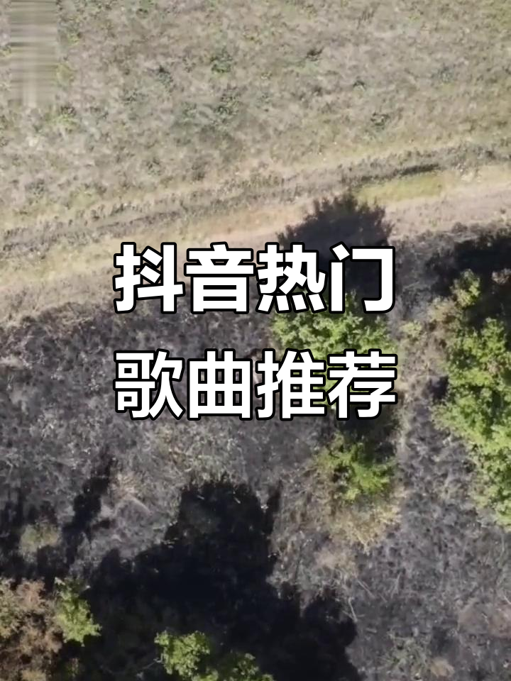 抖音新歌男声=抖音最火歌曲男的唱