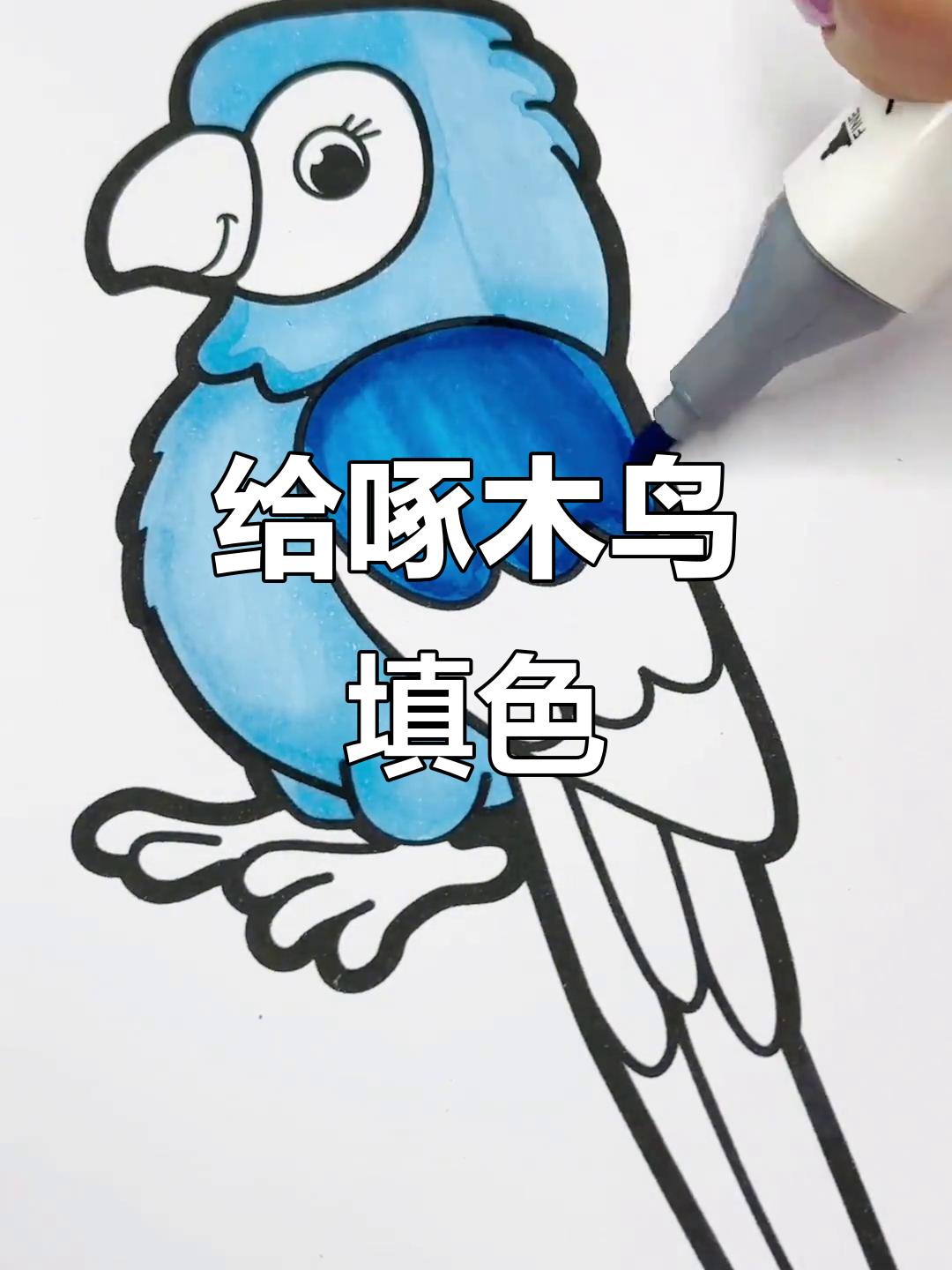 一起给啄木鸟涂色,简单又解压!