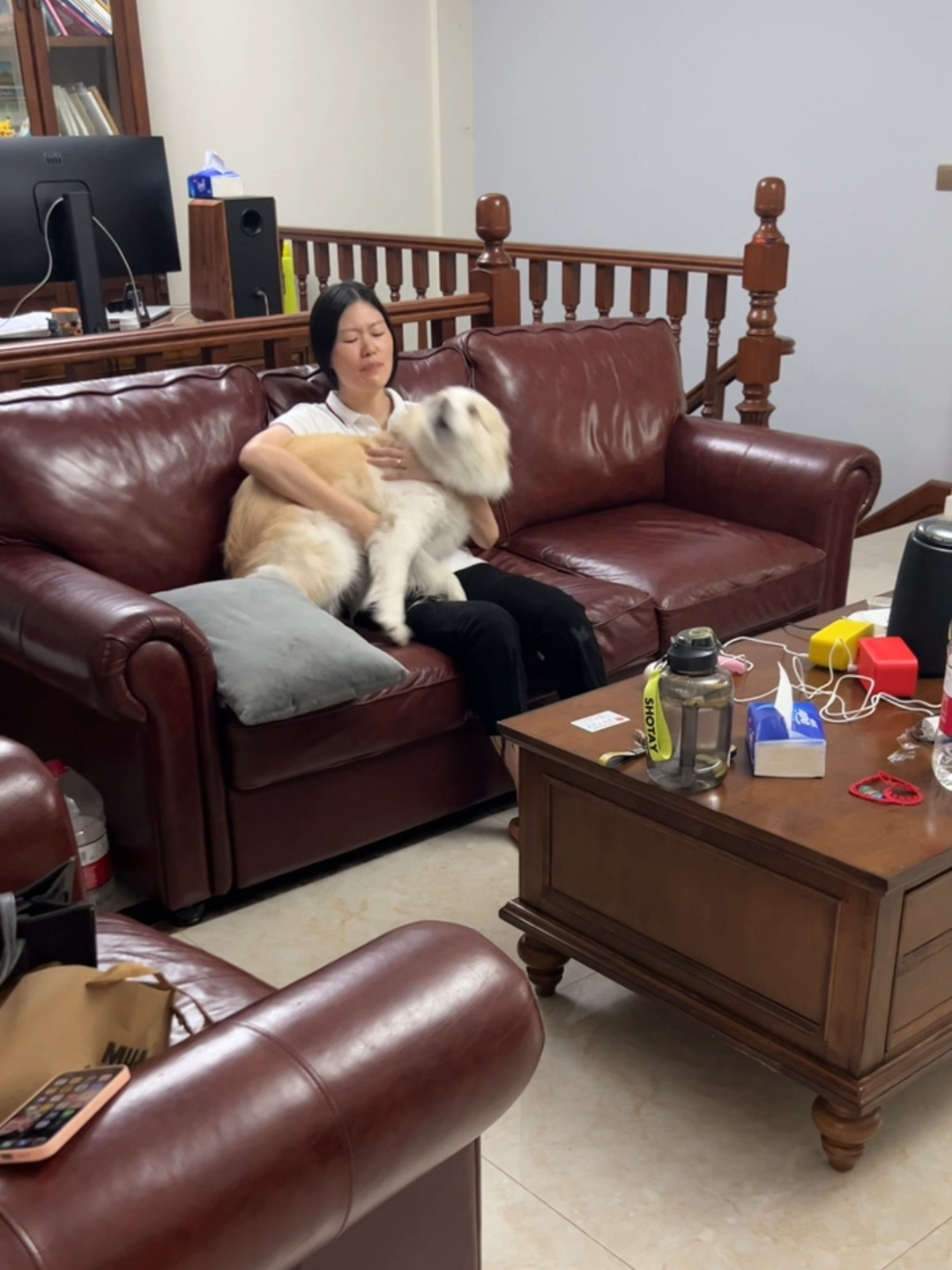 陈贝拉吃醋的样子 边牧陈贝拉