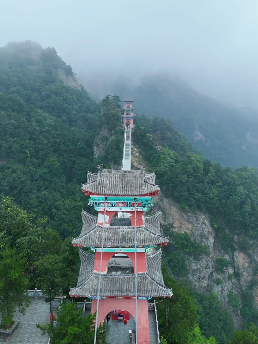 武当大明峰酒图片