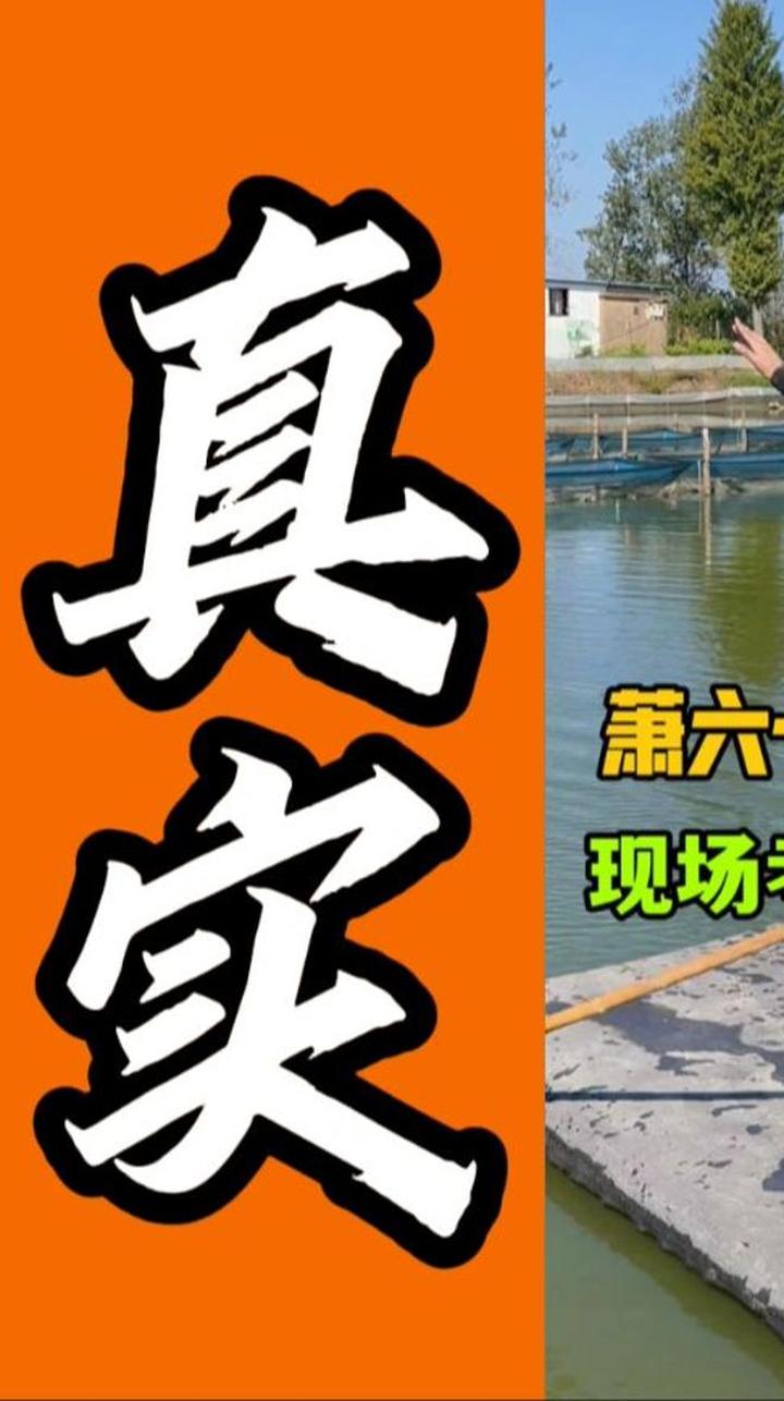 测评萧六十六郎大闸蟹