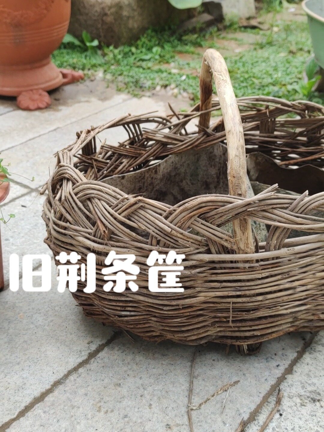 旧荆条筐承载的绿植,别样的美