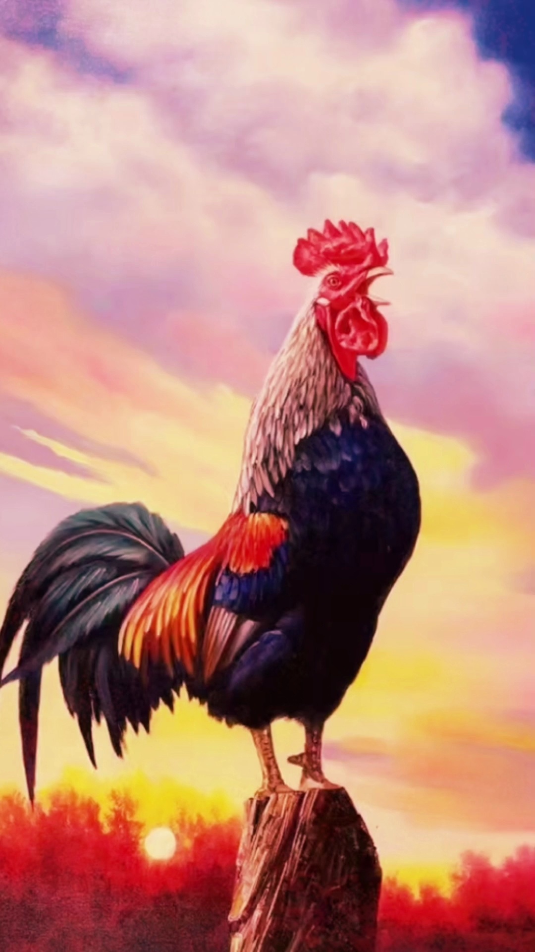 大吉大利 鸿运当头 油画公鸡图-度小视