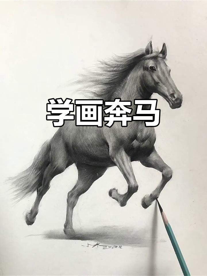 素描奔马步骤详解,轻松掌握动物造型