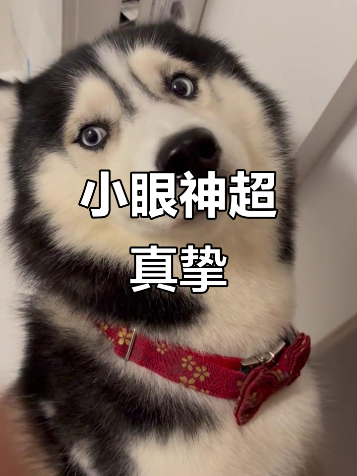 看我真诚的眼神,妹妹快来互动!