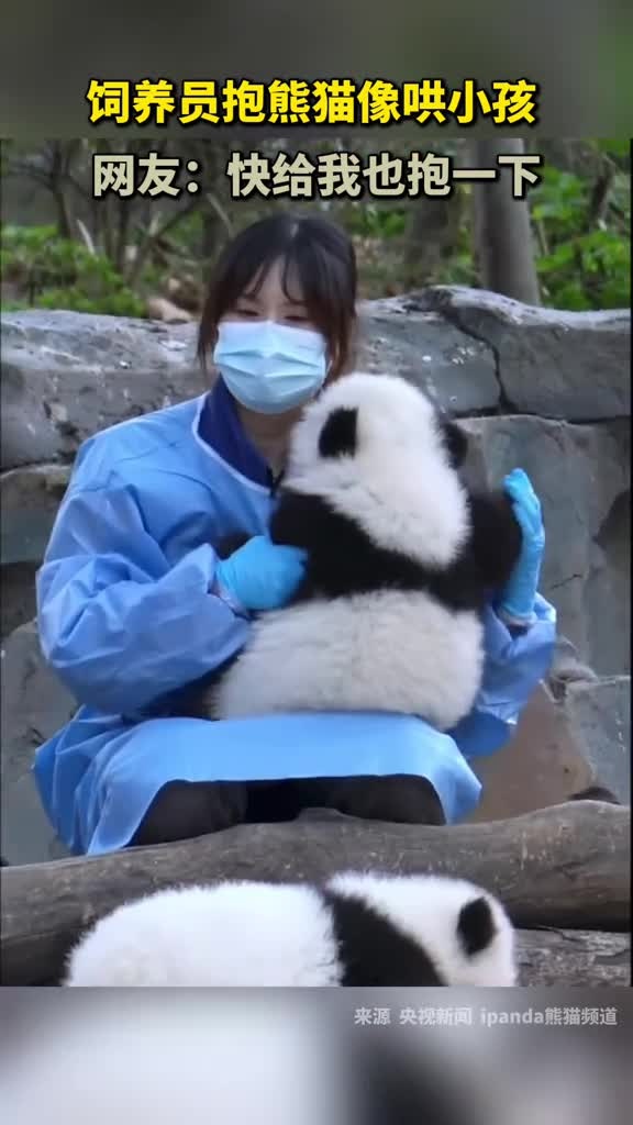 饲养员抱熊猫像哄小孩,网友:快给我也抱一下
