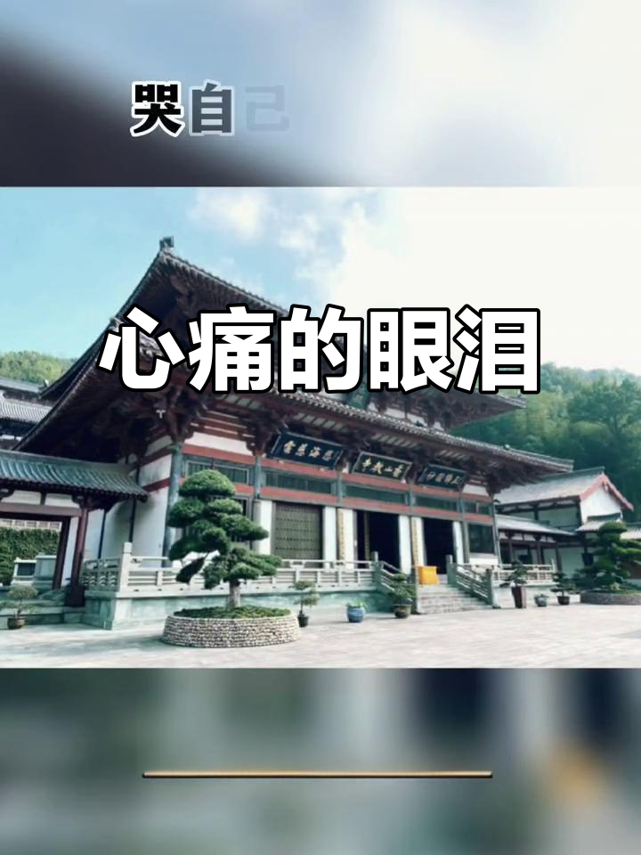 为什么你总留给我失恋的泪水