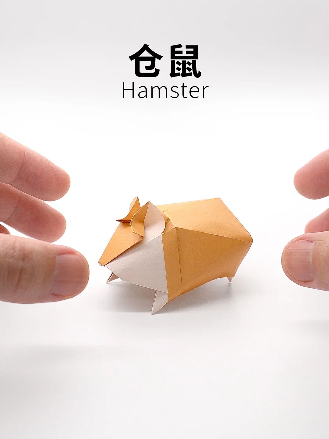 「折纸展示」仓鼠 origami hamster