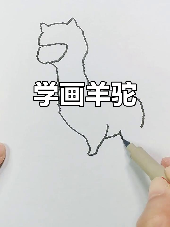 羊驼简笔画教程,轻松学会画可爱动物