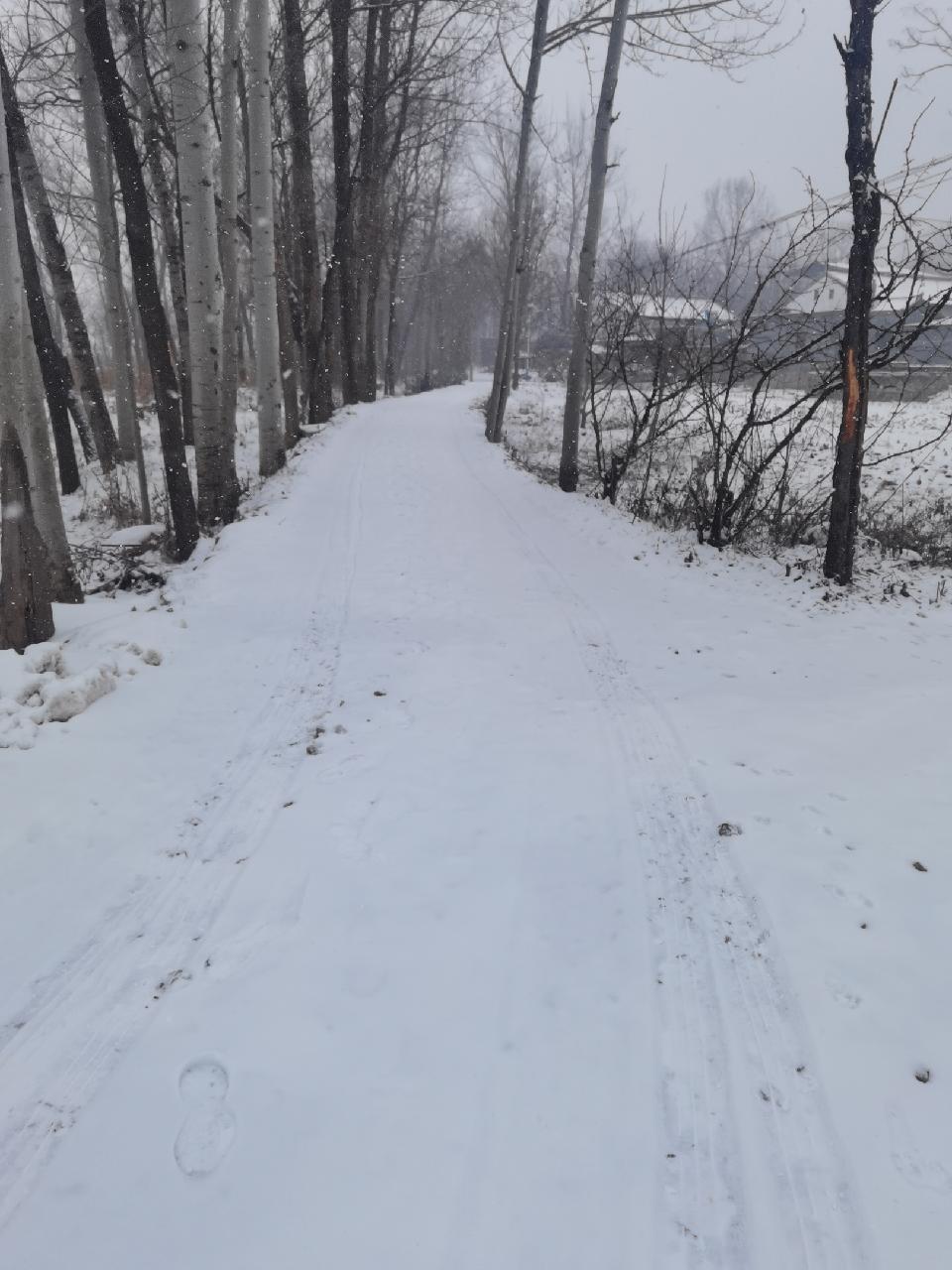 一场大雪美如画 大雪后的农村景象 老家的雪 让南方羡慕的北方大雪天