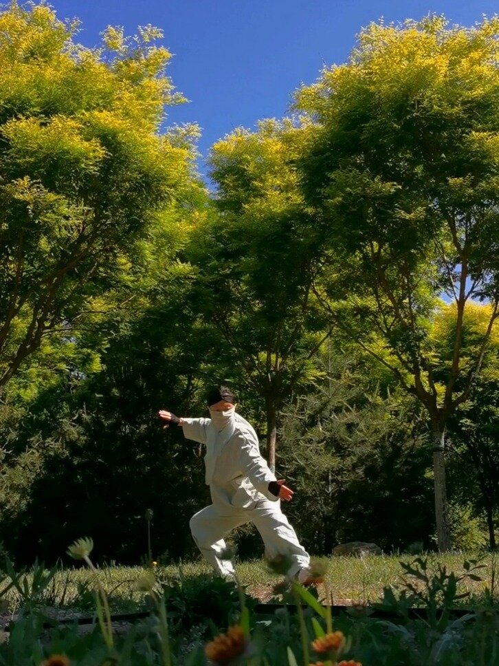 混元太极拳二十四式