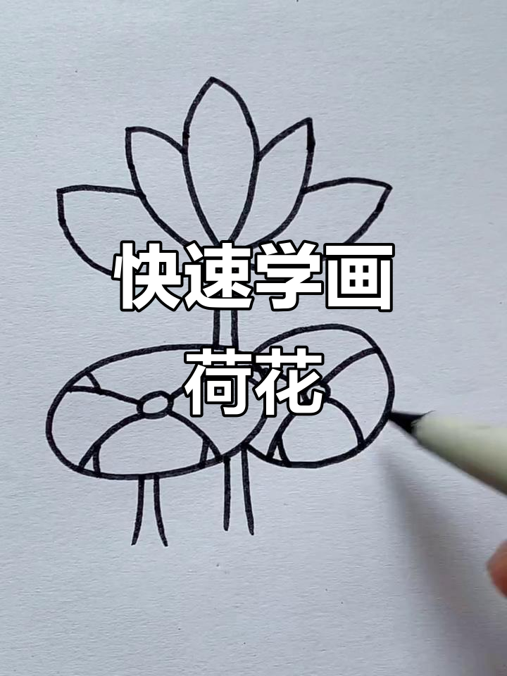 简单步骤教你画荷花与荷叶,轻松上手!