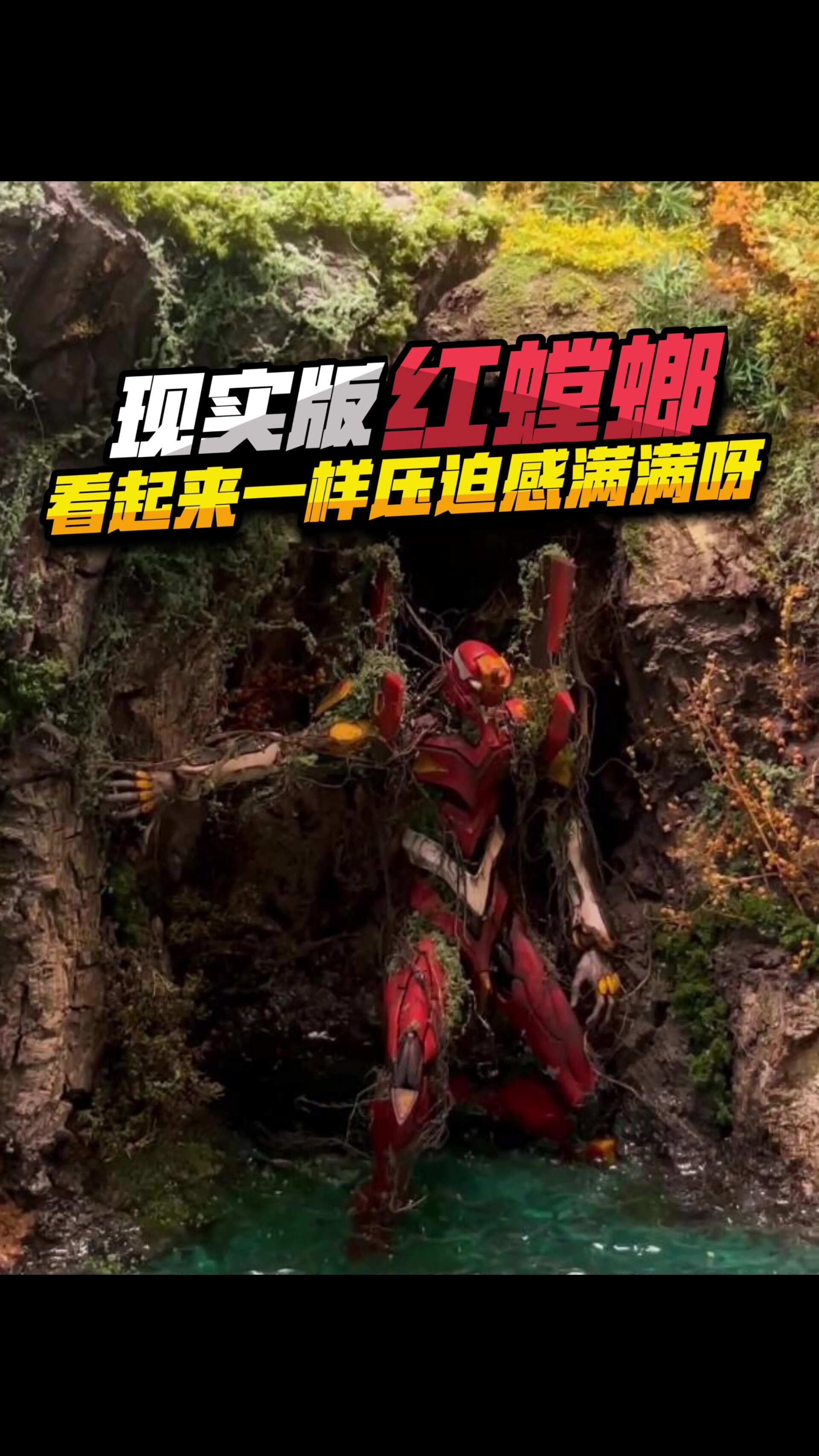 野外不知名山洞居然出现了红螳螂!