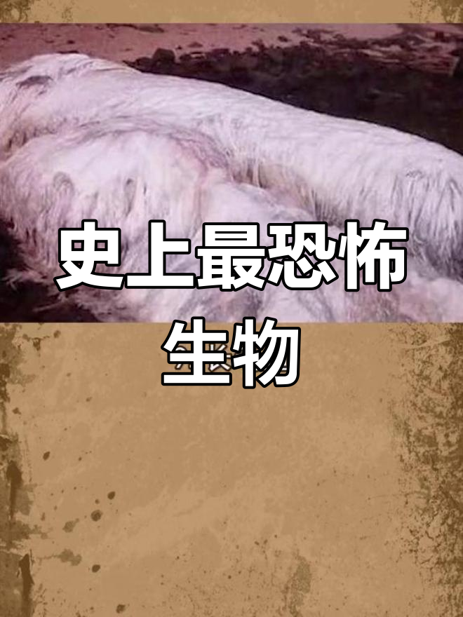 世界上杀不死的6种生物