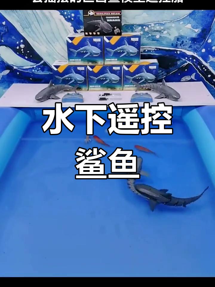 遥控鲨鱼,仿真摇摆,适合男孩的趣味水下玩具