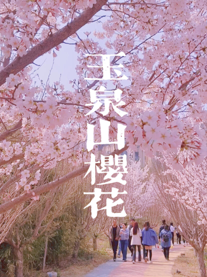 太原玉泉山樱花节攻略