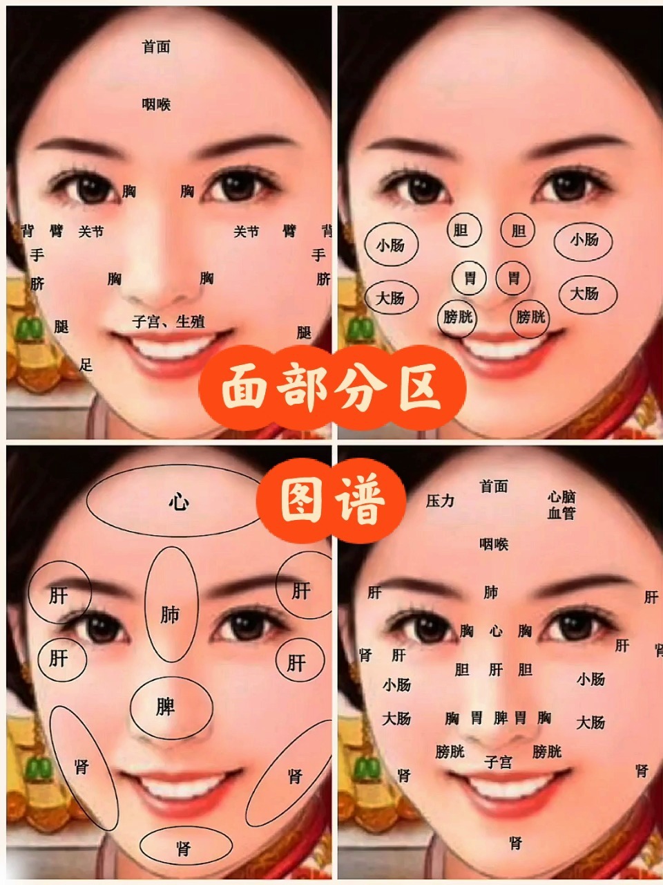 面部各部位分区图谱!(收藏)-度小视