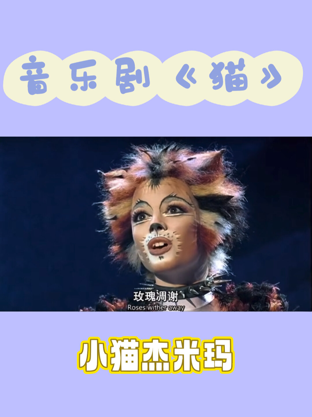 音乐剧《猫》|魅力猫的救星来啦