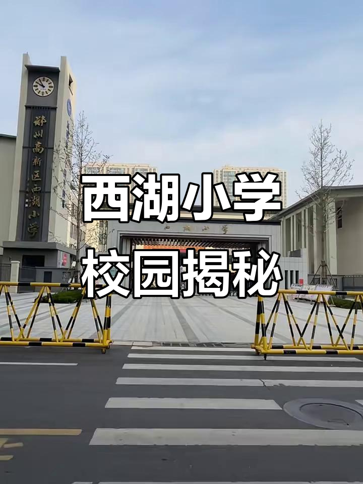 西湖小学:一所充满活力的学校