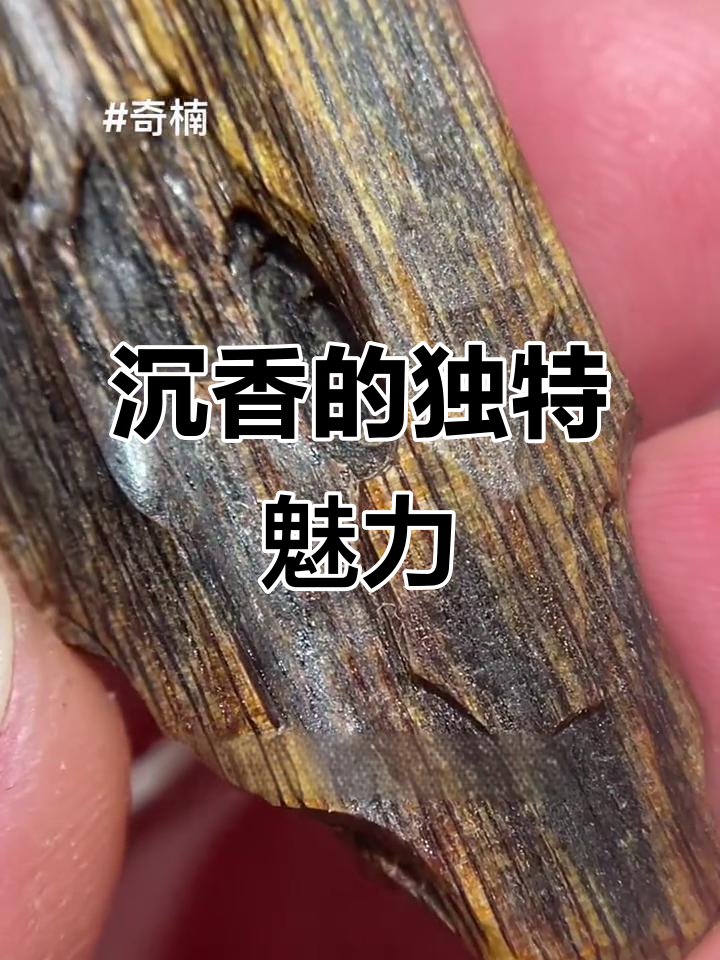 奇楠沉香,油脂丰富,香气浓郁直透心扉,包金必成精品