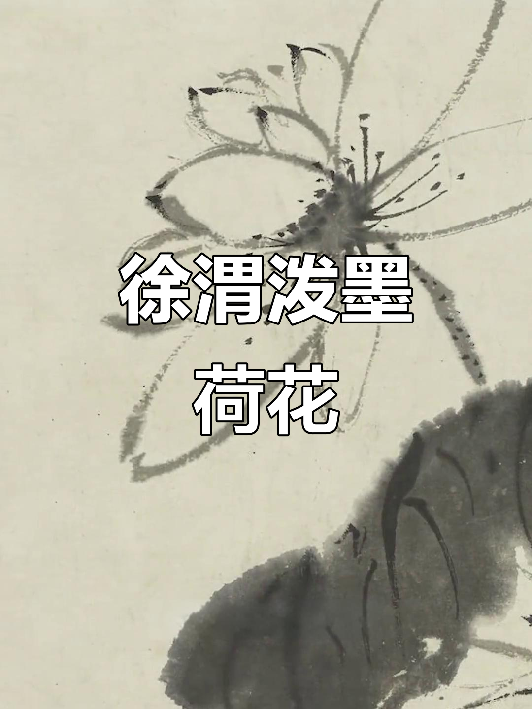 徐渭泼墨荷花,意境深远开创大写意新风