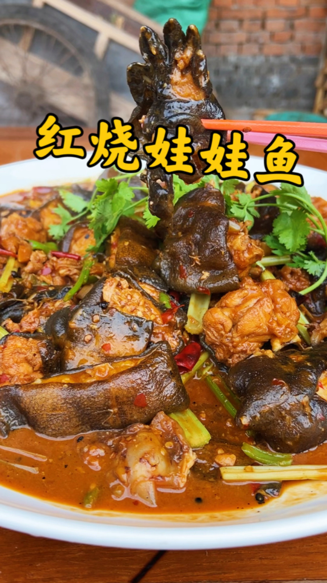 红烧娃娃鱼