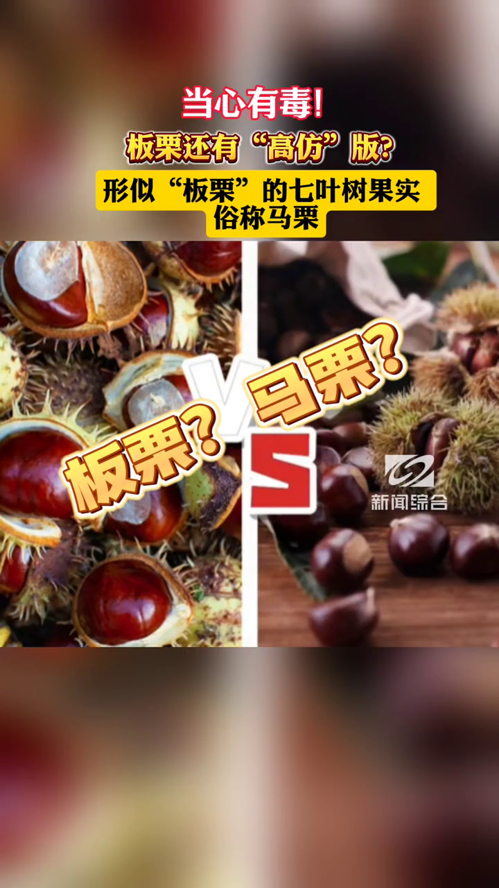 马栗与板栗"撞脸",当心有毒!
