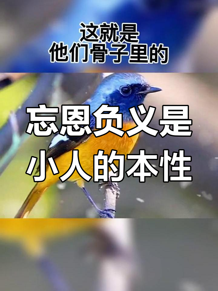 小人忘恩负义的常态